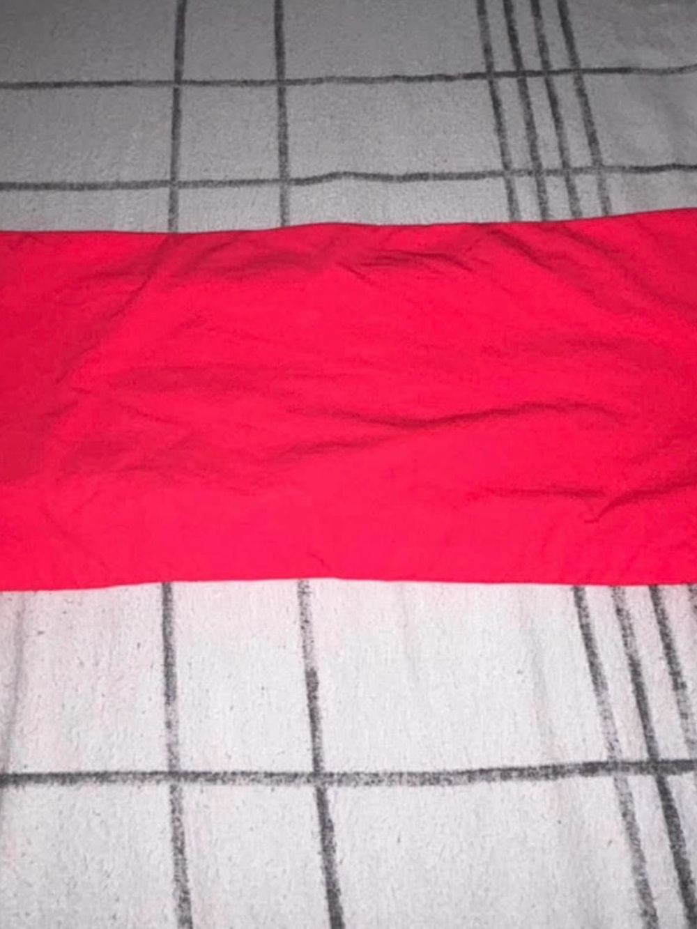 SKIMS Large Pink Bandeau